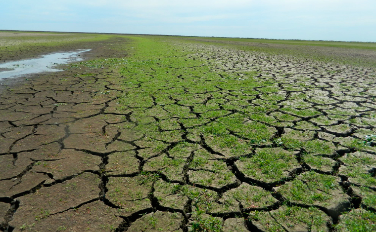 A los efectos negativos de nuestros malos manejos, se les suman los que hemos generado históricamente, traducidos en una mayor frecuencia de eventos extremos de inundación y/o sequía resultantes del “Cambio Climático”. 