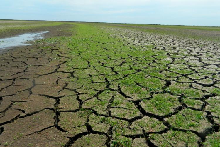 A los efectos negativos de nuestros malos manejos, se les suman los que hemos generado históricamente, traducidos en una mayor frecuencia de eventos extremos de inundación y/o sequía resultantes del “Cambio Climático”. 