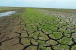 A los efectos negativos de nuestros malos manejos, se les suman los que hemos generado históricamente, traducidos en una mayor frecuencia de eventos extremos de inundación y/o sequía resultantes del “Cambio Climático”. 